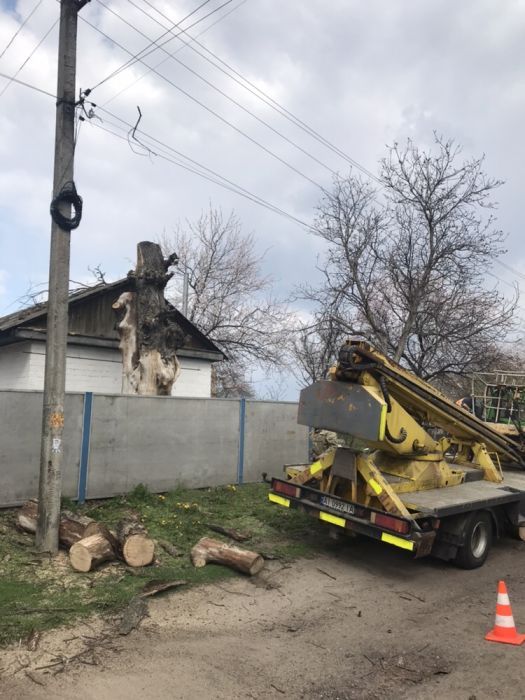 Обрезка деревьев,сада, спил деревьев,расчистка участка,работаем с ОСББ