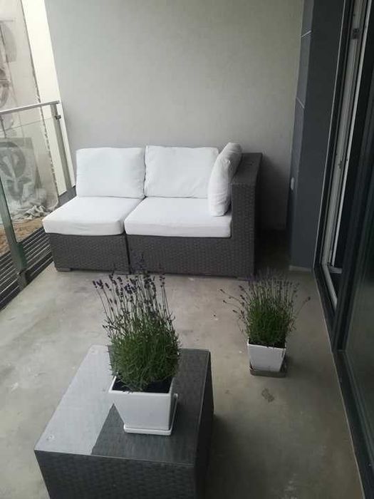 Wynajmę umeblowaną kawalerkę 23m + balkon I Rembertów I Super lokalizacja, stan bardzo dobry - Widok 4