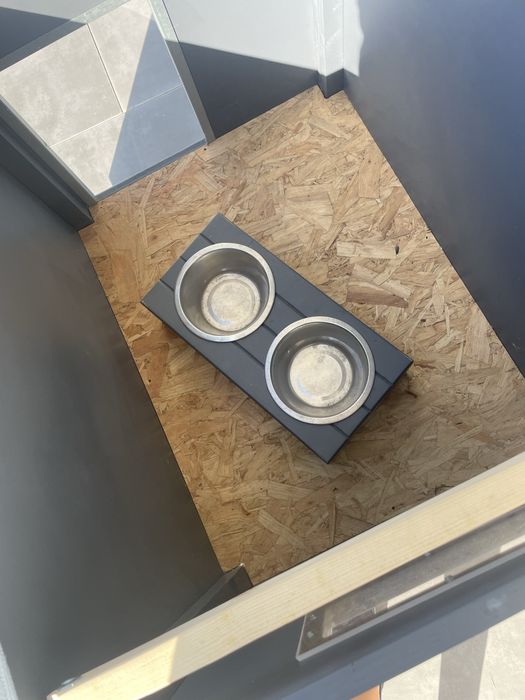 Casota caes e companhia