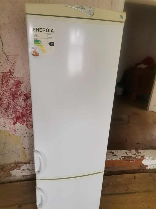 Lodówka Polar wys 175