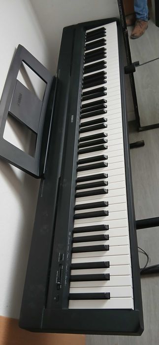 Teclado / Piano.