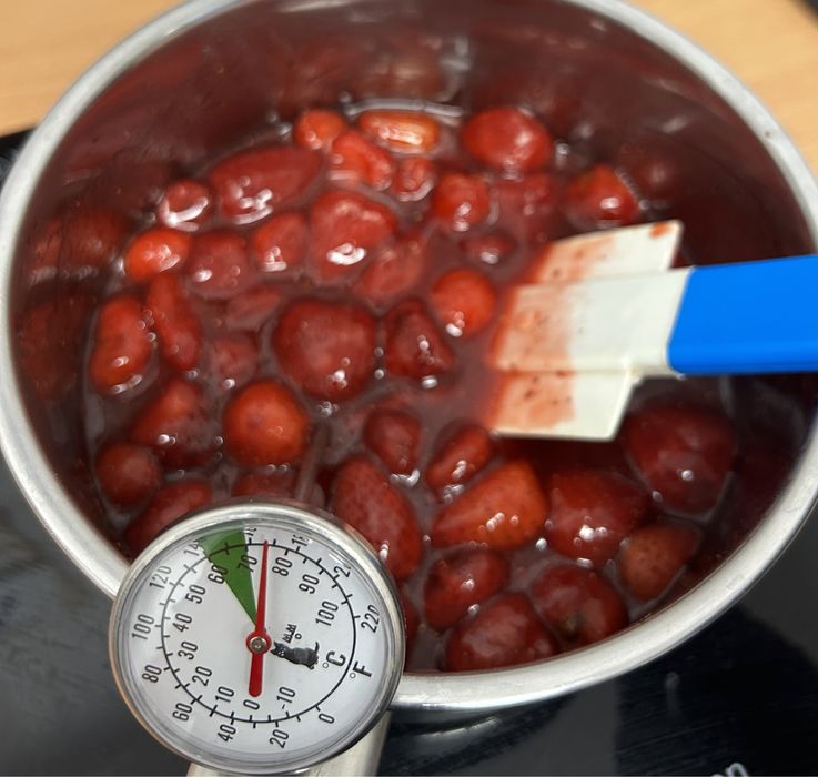 Бизнес по производству и продаже натурального мороженого