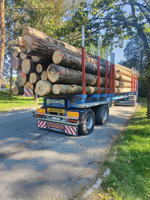 Sprzedam jodła tartaczna dłużyca