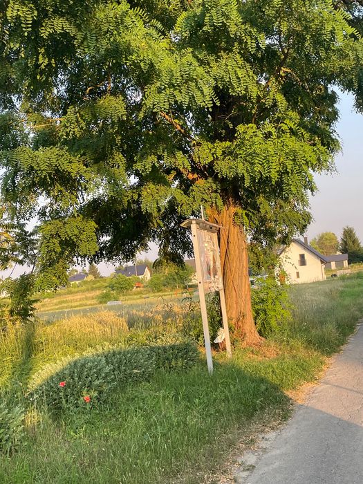 Działka budowlana - Widok 3