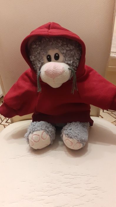 Толстовка, одежда для собак, котов