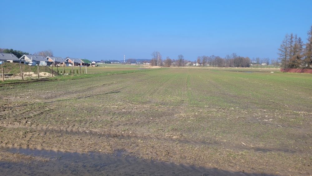 Działka budowlana  Rudziczka  825 m² - Widok 3