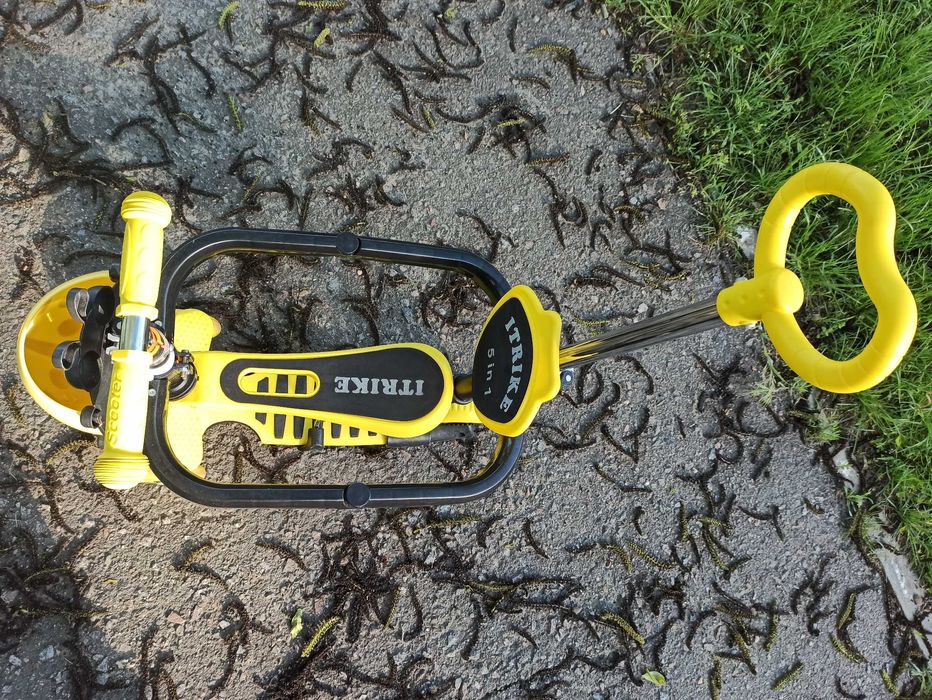 Дитячий самокат 5 в 1 + Бортики