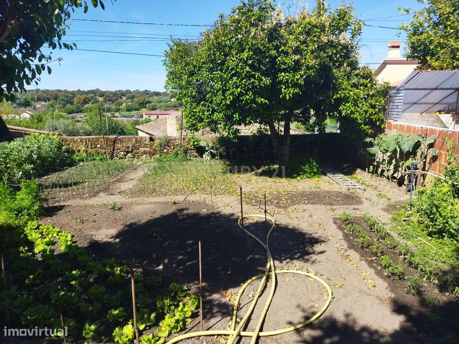 Moradia T3 | Escalos de Baixo, Castelo Branco