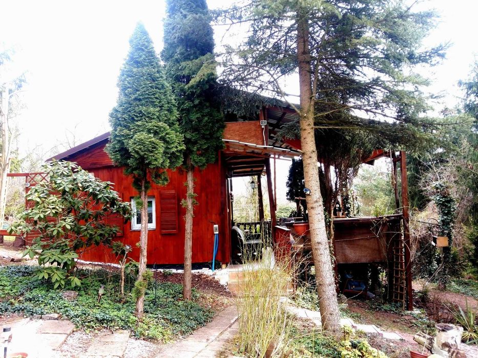 Acapulco Domek Maria,   Radków Góry Stołow.Rezer. tele k.zalewu