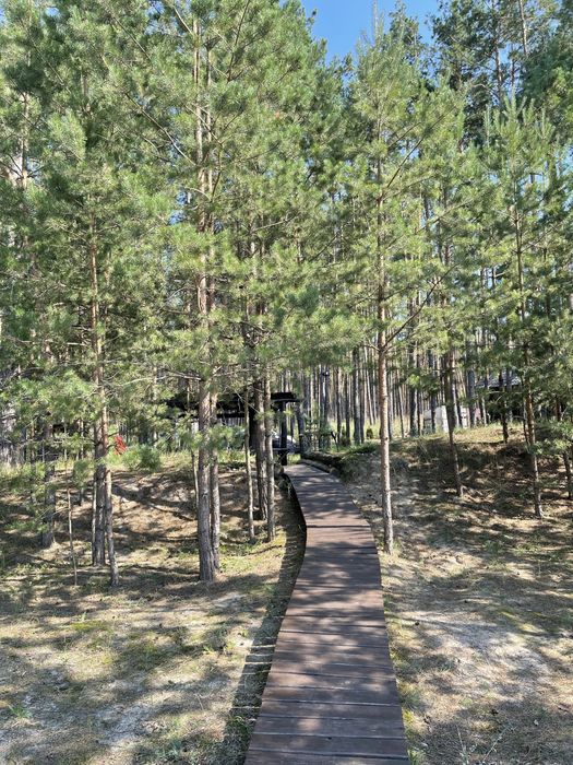 Оренда будинку в лісі біля річки з банею .