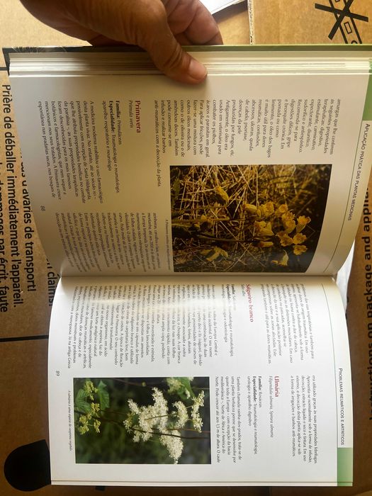 novo guia das plantas medicinas