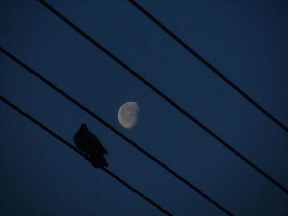 Canon SX210 IS як Новий!Повний комплект