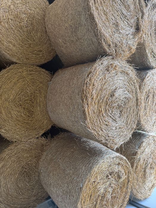 Słoma Owsiana w belach