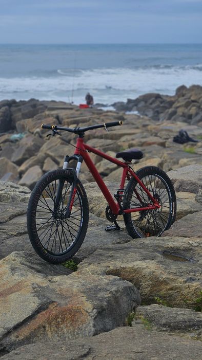 Bicicleta de whelling como nova