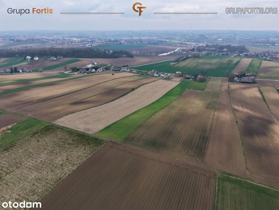 Działka rolna 1,59 ha | Jakubowice, proszowicki - Widok 4