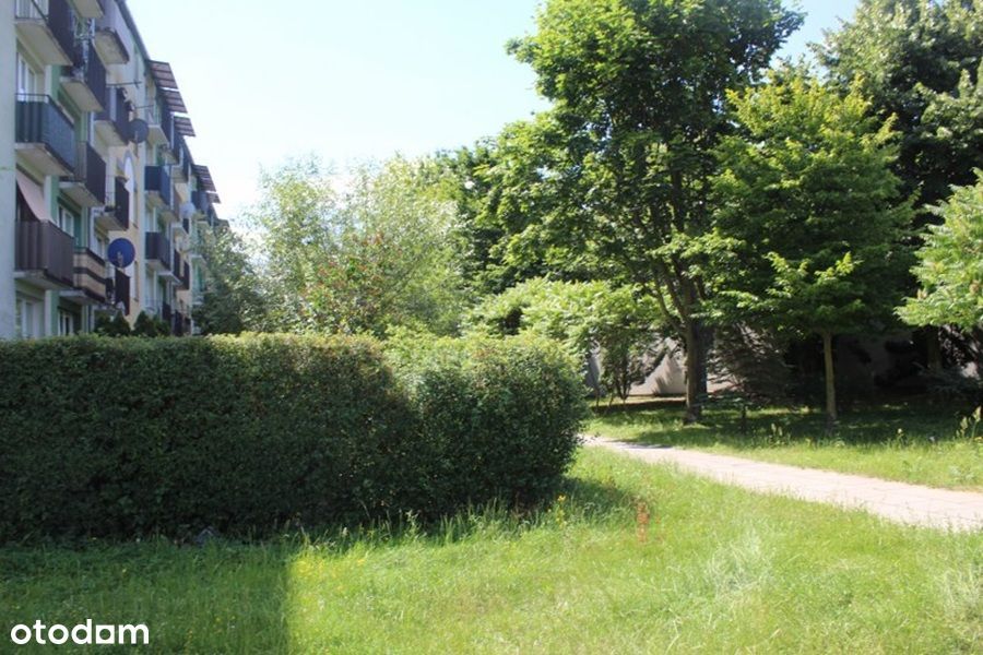 Syndyk sprzeda mieszkanie 54 m2, Gdańsk Przymorze, ul. Chłopska 14