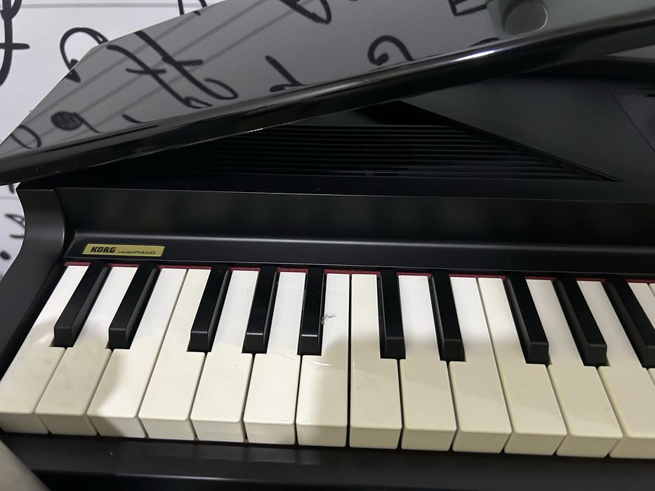 Korg micropiano (piano de cauda mini)