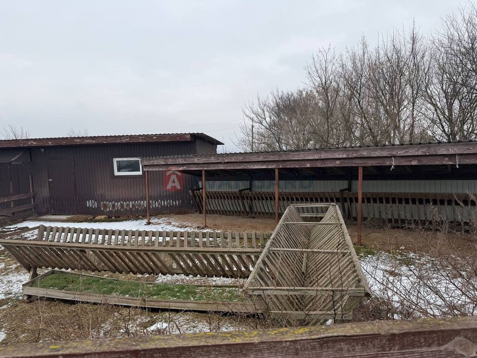 Продажа кінний двір Новоолександрівка комерція