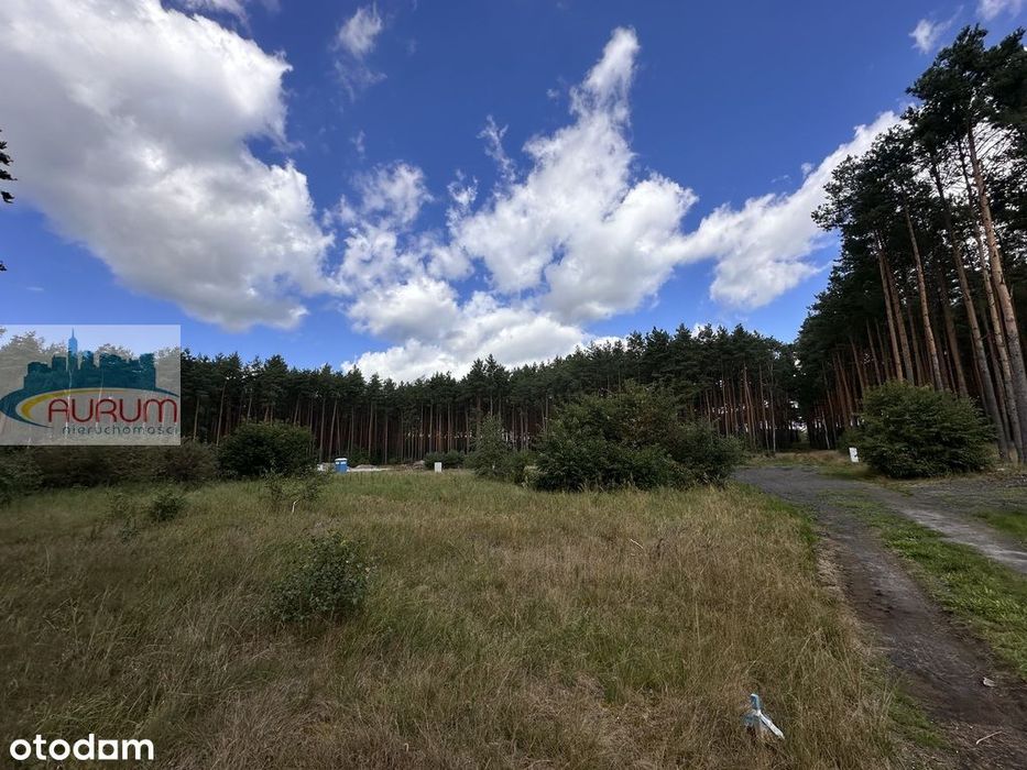 Działka 968 m² | 10 min od Zielonej Góry - View 5