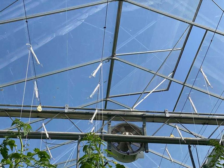 Теплиця типу Венло 1,7 га (плівка, теплиця, труби, Венло)