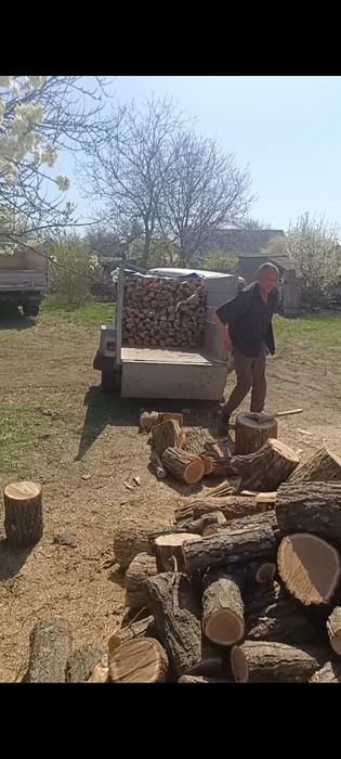 Продам колоті дрова твердих порід