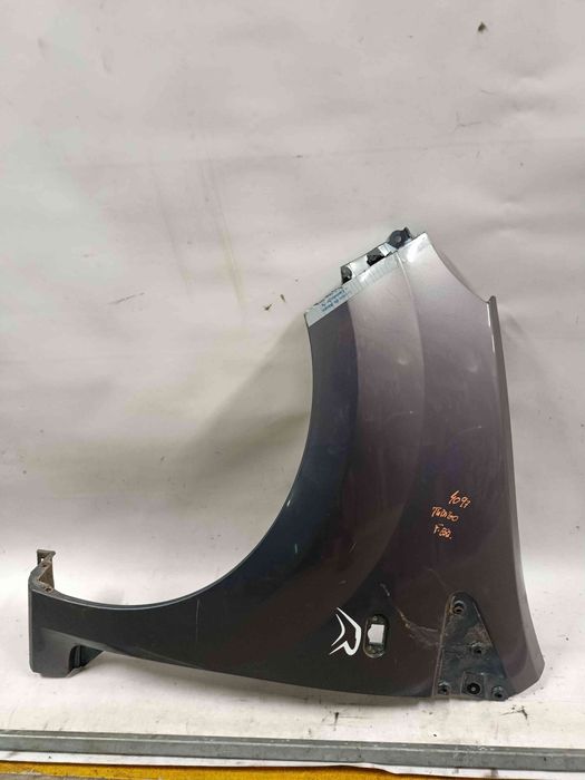 Guarda-lamas esquerdo RENAULT Twingo II (CN0_)