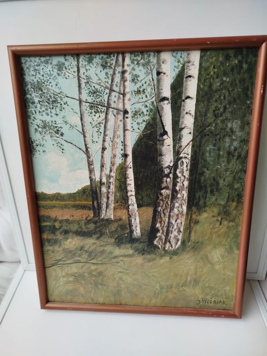 Obraz olejny brzozy J. Woźniak