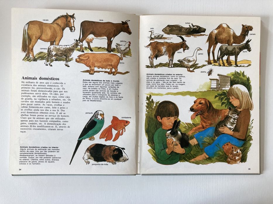 Enciclopédia Infantil Vintage Anos 80 (Completa - 6 Volumes )