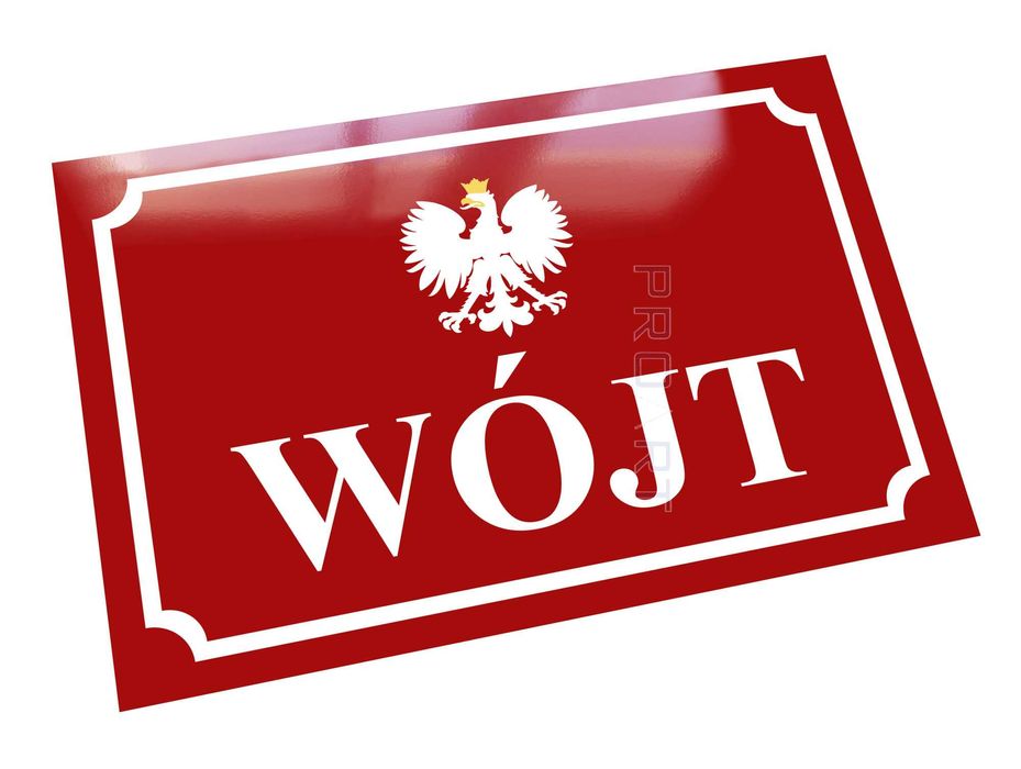 Metalowa tablica tabliczka SOŁTYS WÓJT 30x20 cm