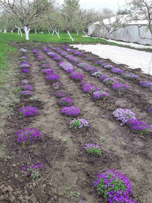 Продається будинок