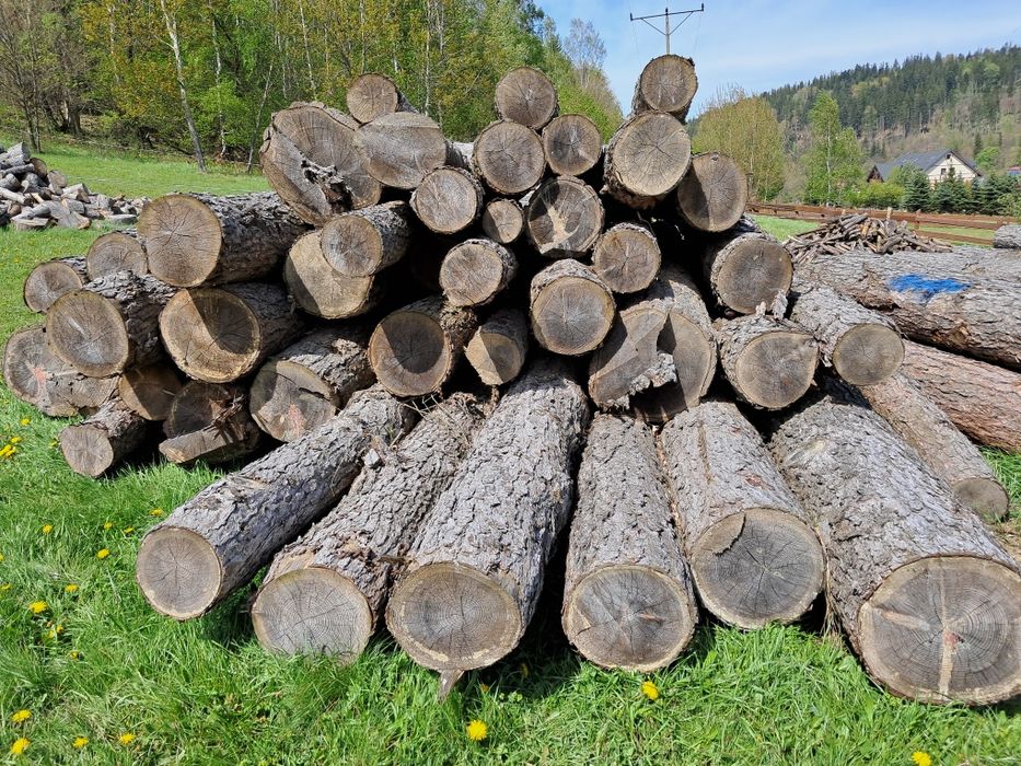 Drewno opalowe Świerk