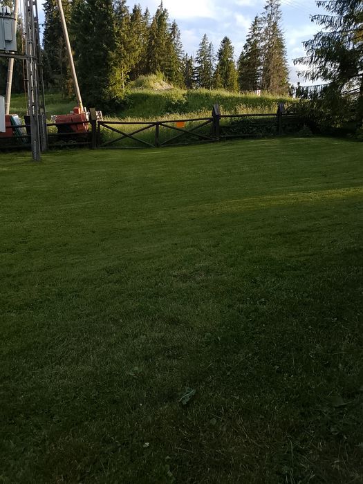 Usługi ogrodnicze 736 090 061