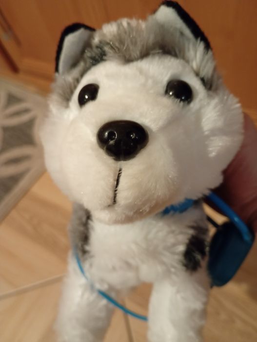 Nowy interaktywny piesek