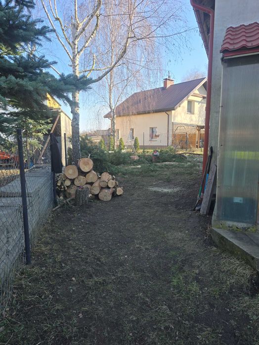 Wycinka drzew, pielęgnacja zieleni, formowanie koron,