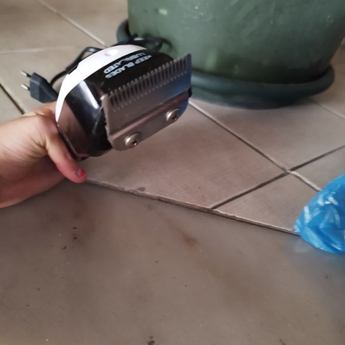 Maquina de cortar pelo para animais