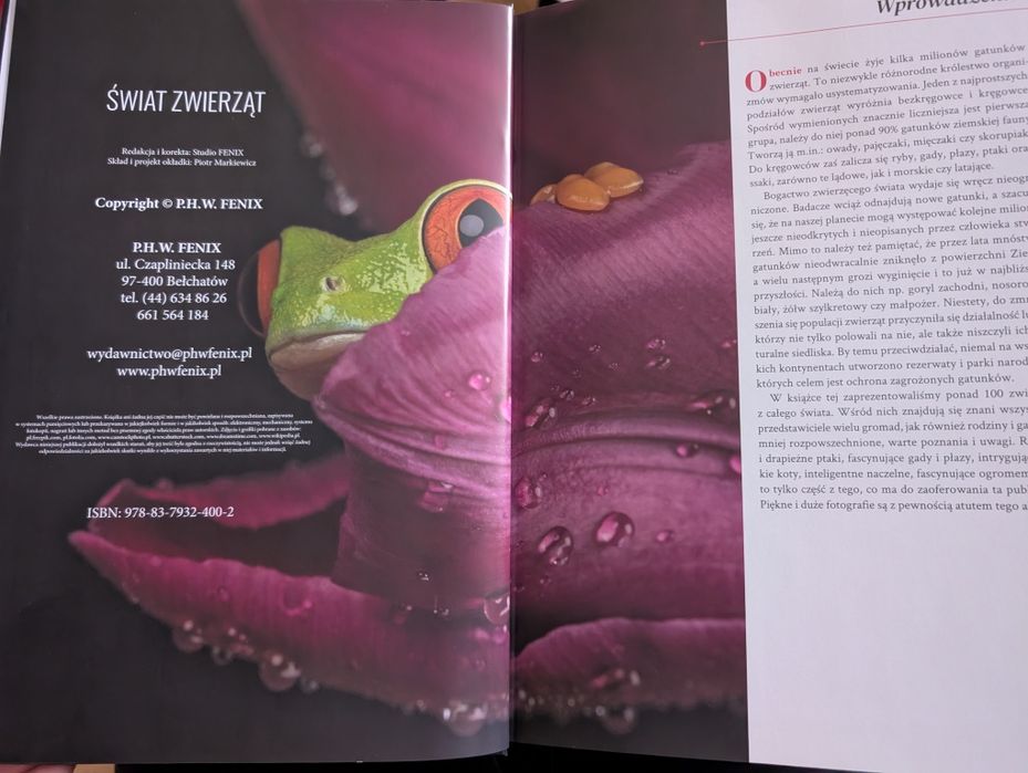 Świat zwierząt Studio Fenix