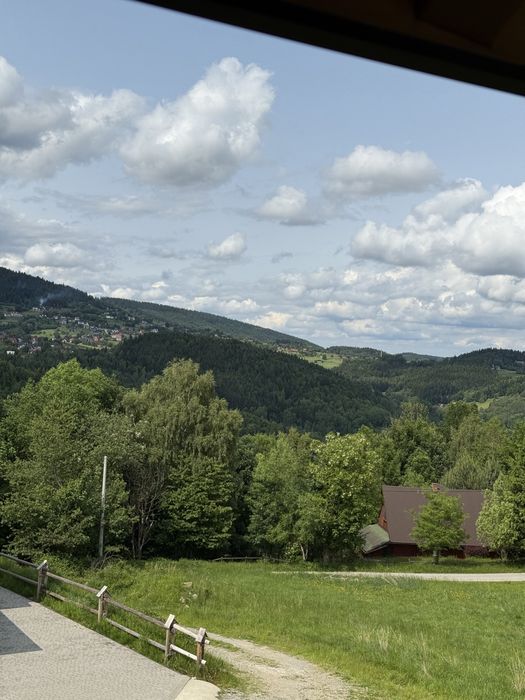 PILNIE Zawoja | 2 HA | 20 zł/m² | działki widokowy | piękne widoki - Widok 3