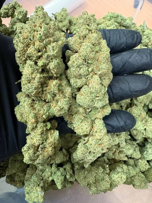 1kg susz CBD CannaBubble/THC< 0.3%