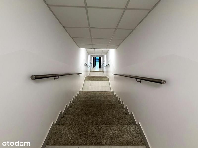Apartament z widokiem na park
