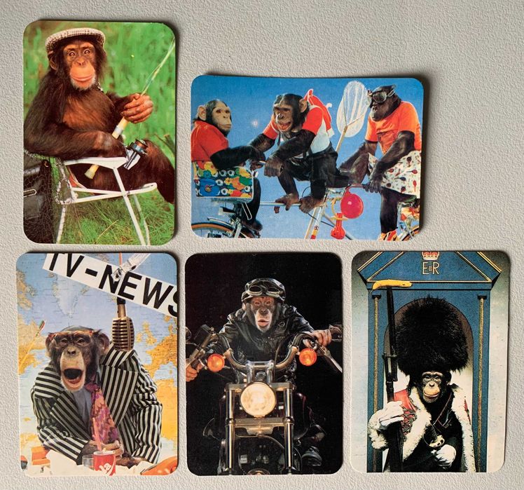 Calendários Anos '90 - Chimpanzés (preço unitário)