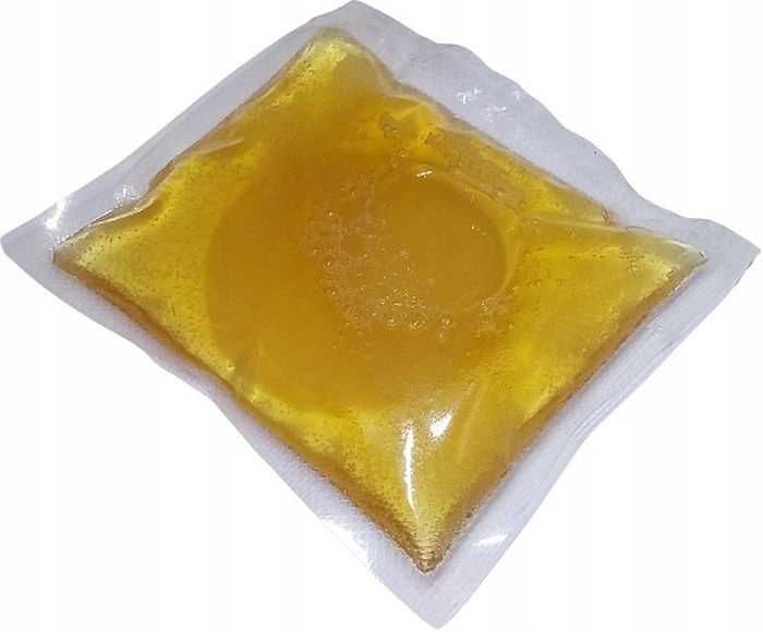 Grzybek Herbaciany 1szt Grzyb Kombucha Scoby 9cm Kombucza Starter
