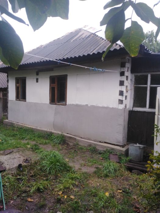 Продам будинок з великою ділянкою в с. Пилиповичі