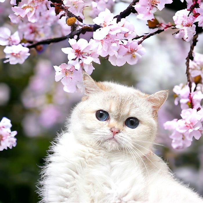 Красота, красота, красота