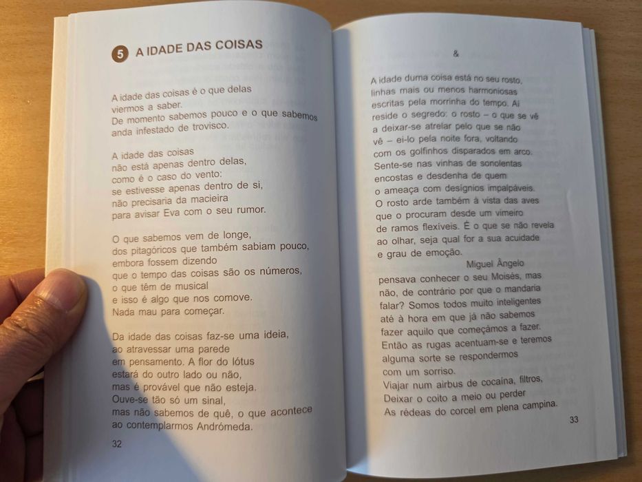 Livro "A Tentação de Santo Antão" de António Cabral