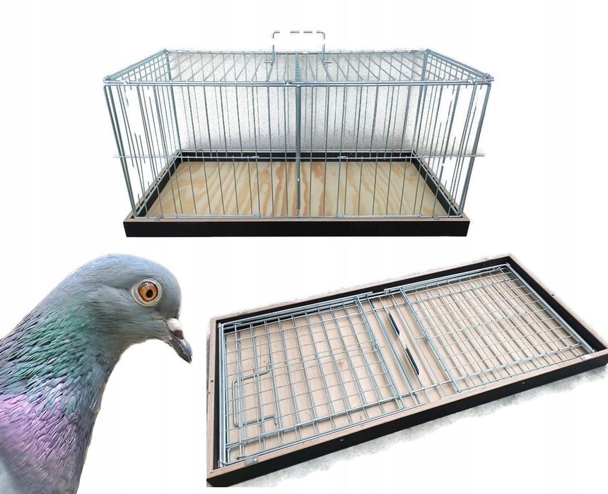 Klatka wystawowa transportowa dla gołębi 40×40×80 cm – super jakość