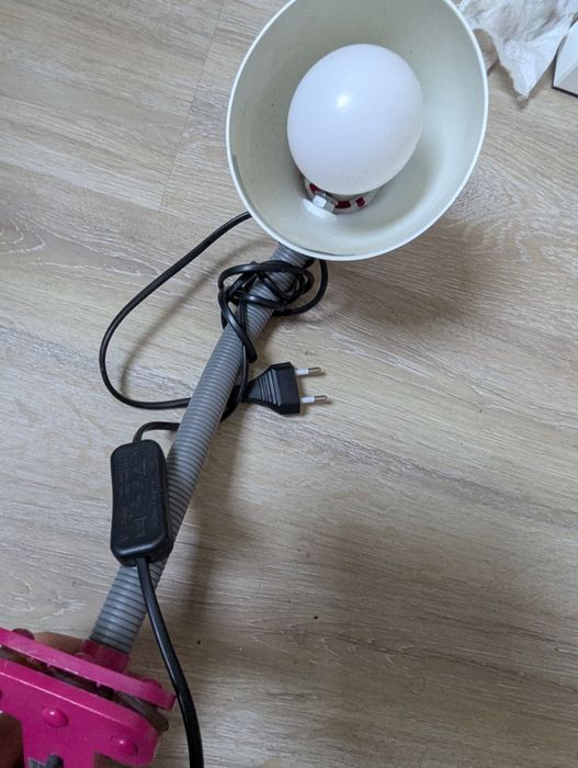 Lampa  lampa lampa
