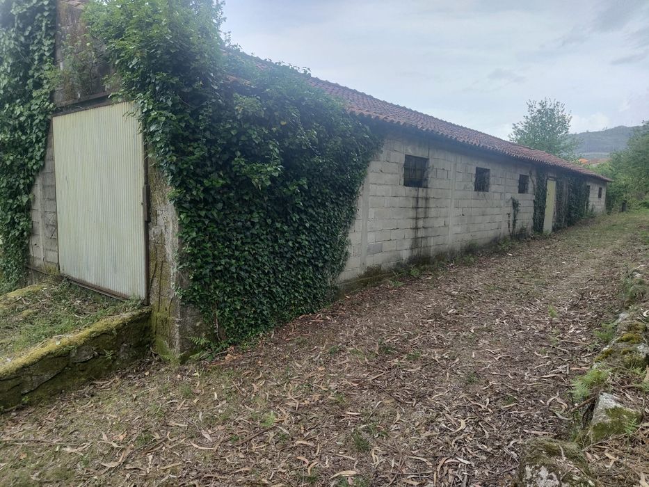 Terreno 1000 m² com construção – São Vicente de Lafões | Perto da A25 | Oportunidade