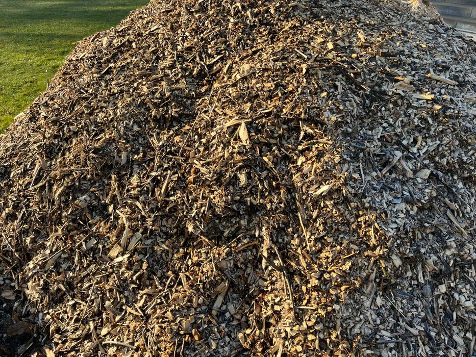Zrębka trociny do ściółkowania na rabaty ścieżki, świeża, b. ładna