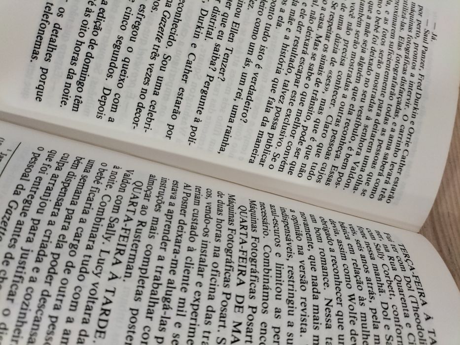 Livro - Caça á mãe