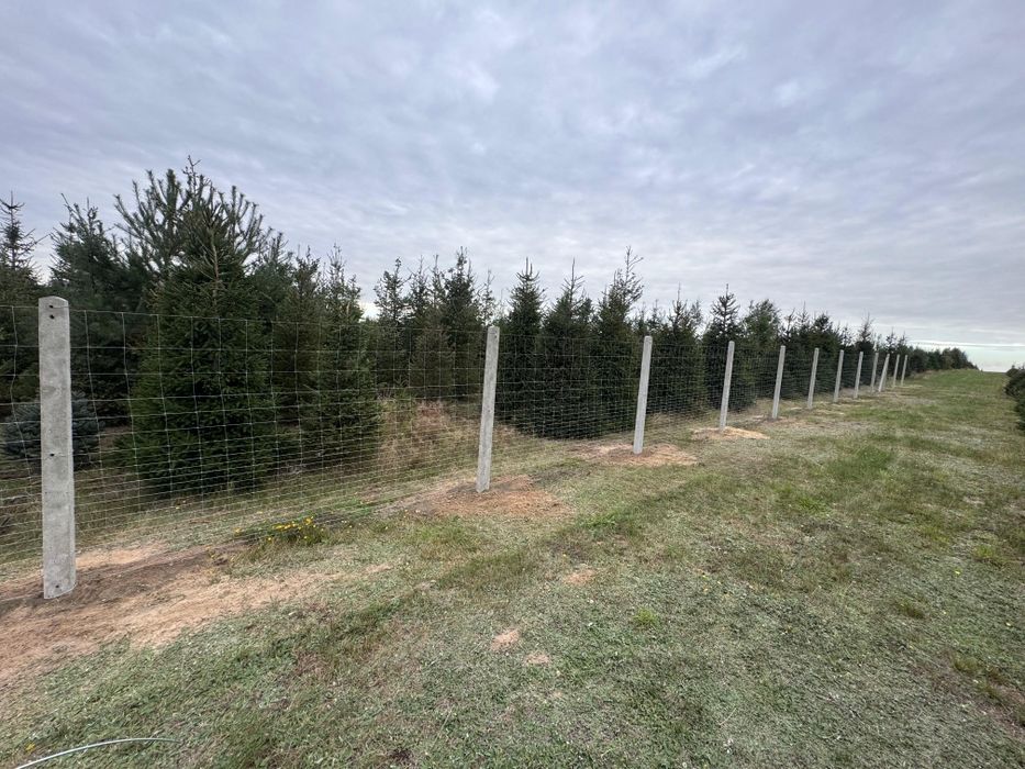 Ogrodzenie siatka  leśne tymczasowe słupki betonowe